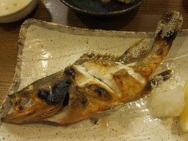 ナメラ