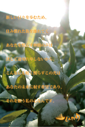 仲間。