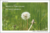 明日やろう。