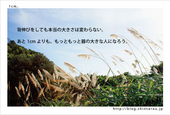 1cm。