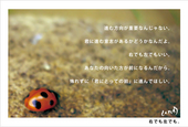 右でも左でも