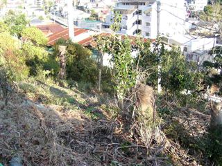 20050105-1
