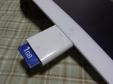 RIMG0010