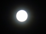 RIMG0020