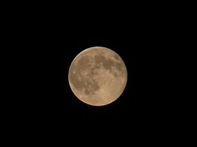 RIMG0009_3