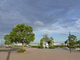 RIMG0069