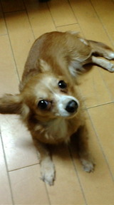 BLOG用５