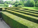 maze01