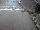 12-07-25_001