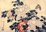 Poenies_and_butterfly