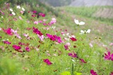 blog1008221