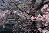 blog1602273