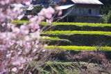 blog1003153