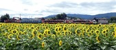 blog1707088