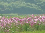 blog0906291