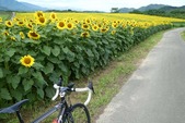 blog1707083