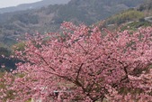blog1602271