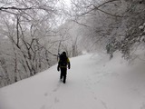 blog1402113