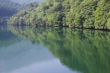 blog1008223