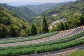 blog1404264