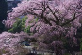 blog1404201