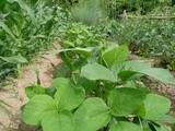 blog0906271