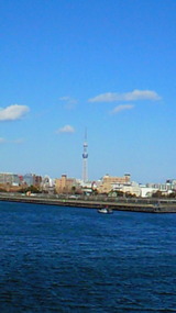 b6d3a343.jpg