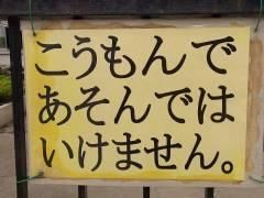 13080194520002