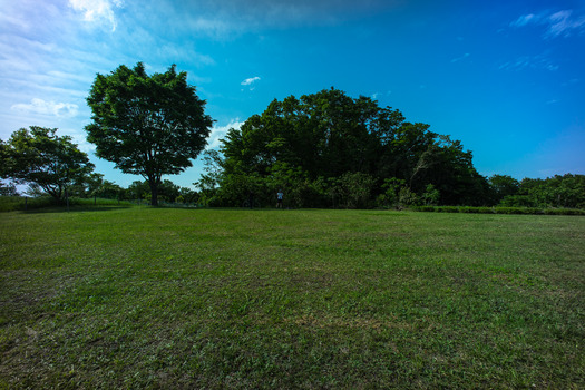 DSC09129-2