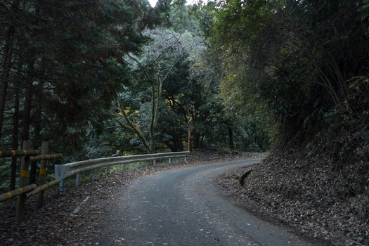 DSC09940