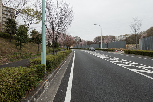 DSC00048