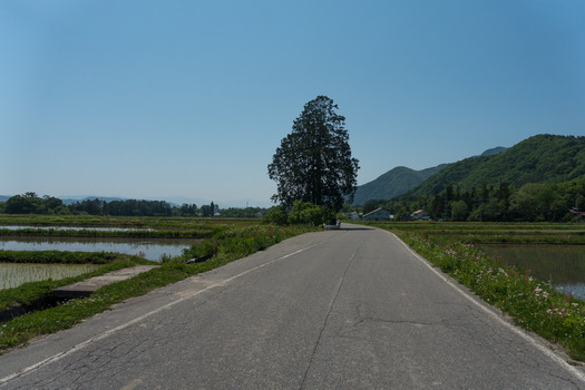 DSC00612