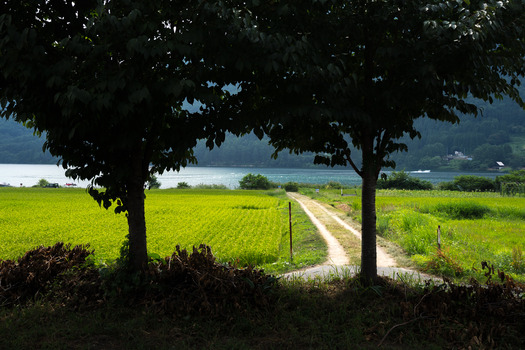 DSC06075
