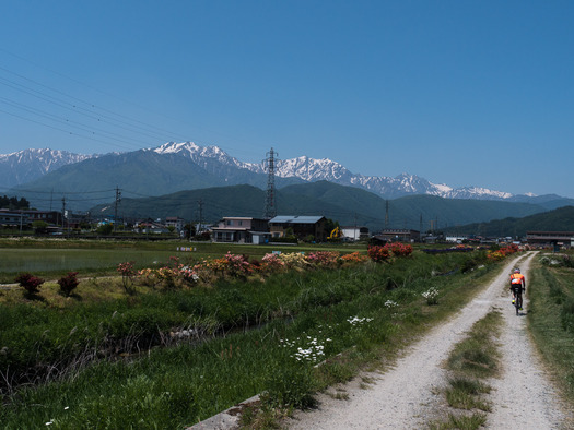 DSC00801