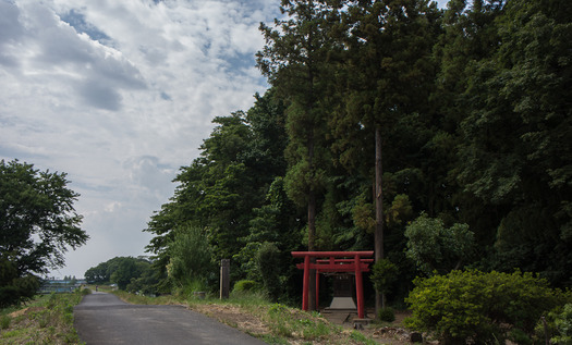 DSC08866