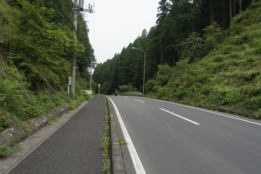 DSC09561