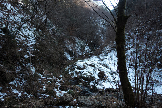 DSC06176