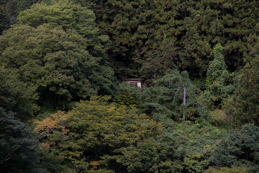 DSC05026