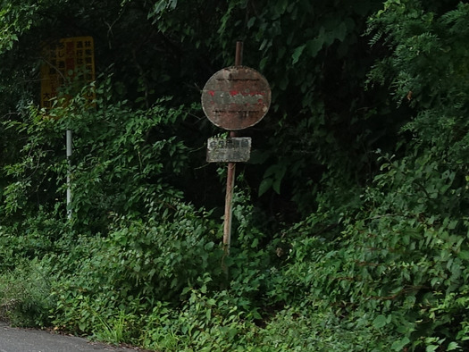 DSC08421
