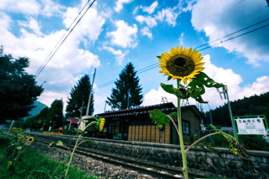 DSC06085-Edit