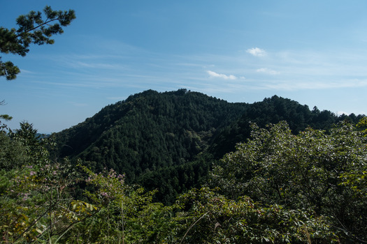 DSC03292