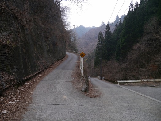 P1020724_xlarge