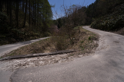 DSC07507