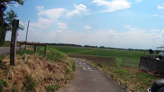 DSC00917