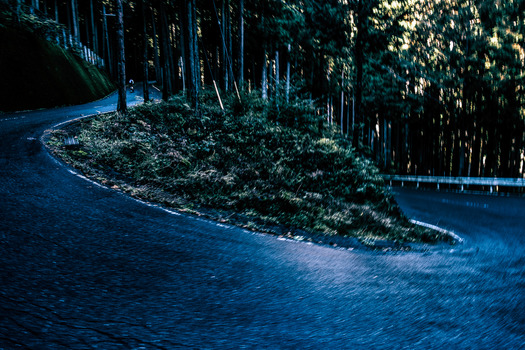 DSC09694-Edit