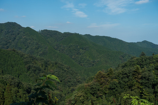 DSC03961