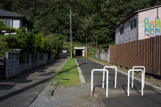 DSC01111