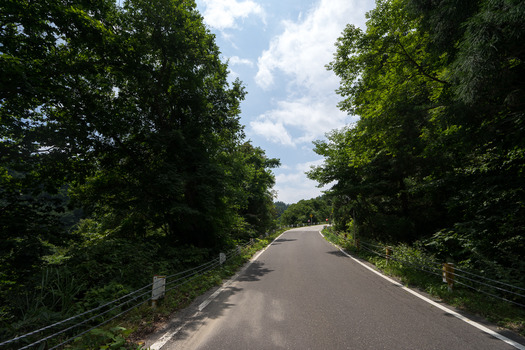 DSC05934