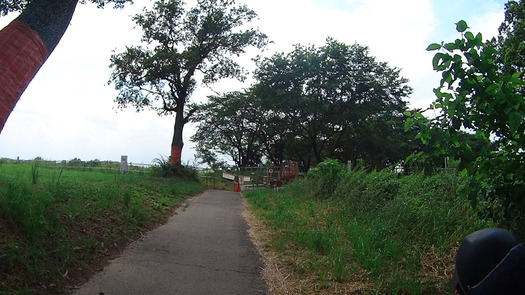 DSC00971