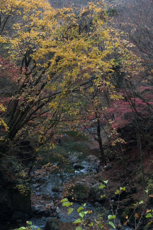 DSC08852
